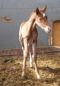 May - a couple hours old